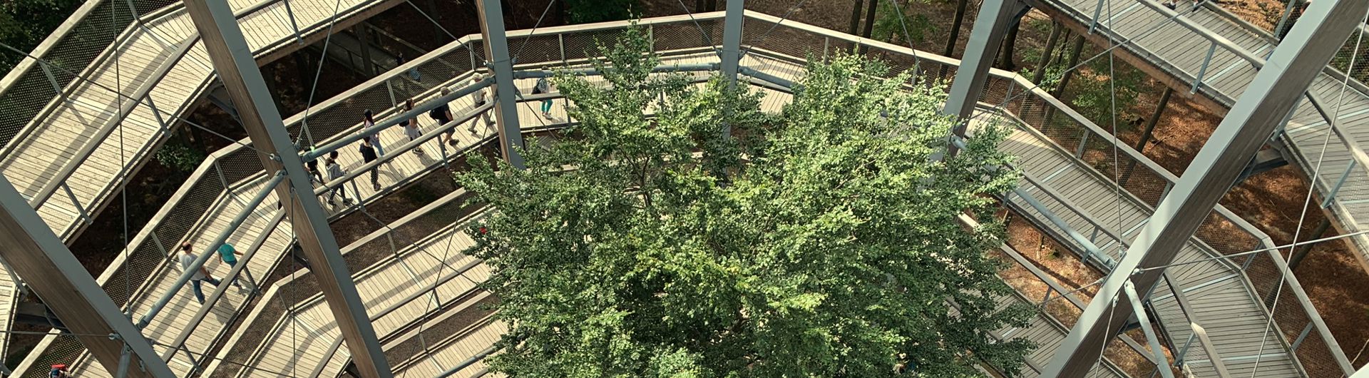 Baumwipfelpfad Steigerwald Ebrach