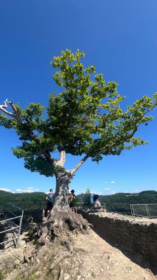Burgruine Neideck Streitberg