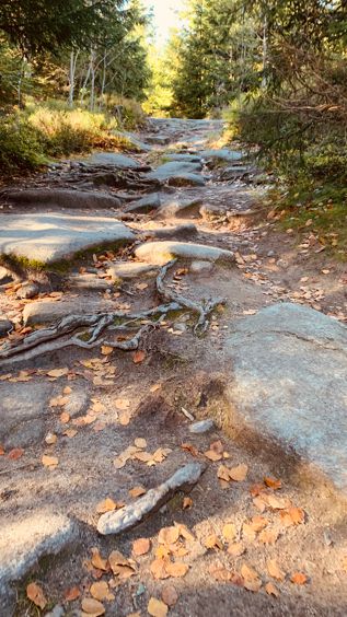 Burgruine Weissenstein - Der Weg zur Ruine