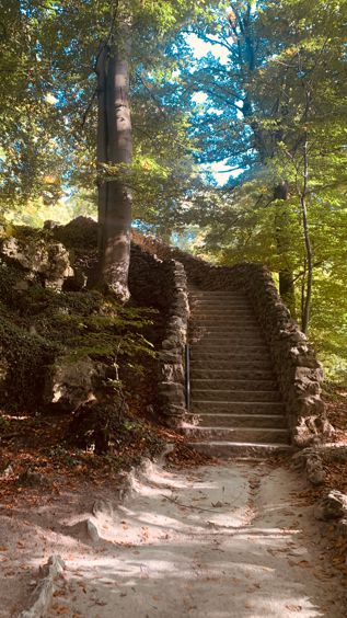 Steintreppe zwischen Bäumen und Felsen im Wald von Sanspareil