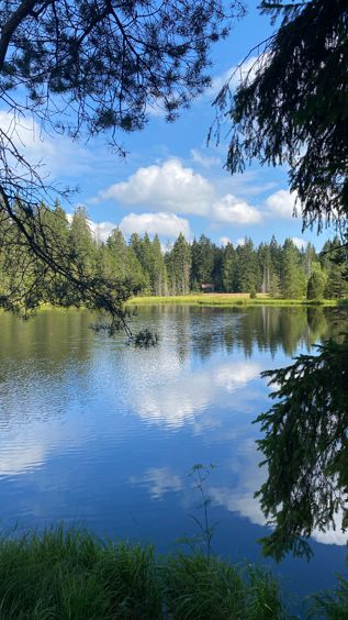 Der Fichtelsee in Fichtelberg