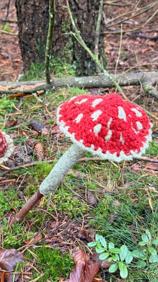 Der Schamusiweg zur Gänskopfhütte bei Weidenberg