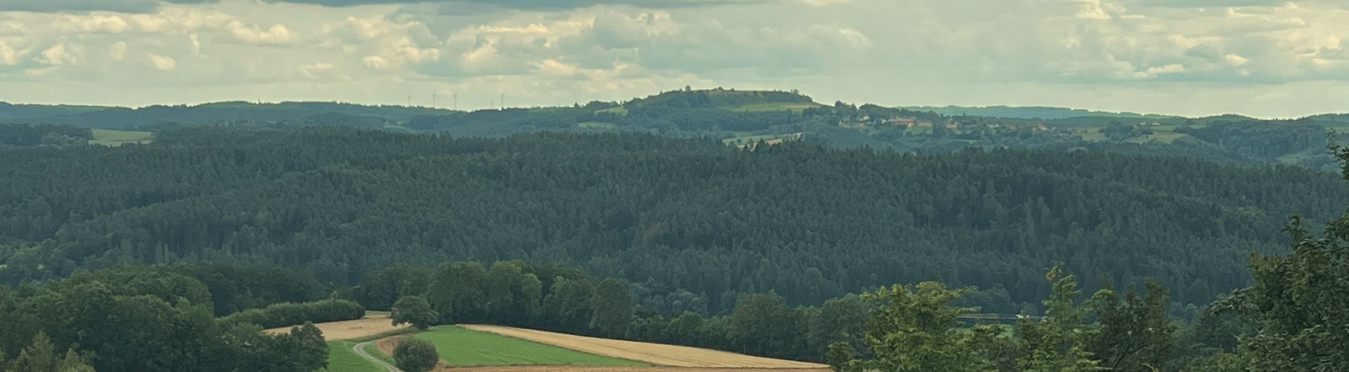 Blick auf den Tafelberg Neubuerg
