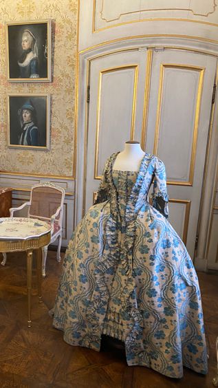 Rehwild beim wiederkauen