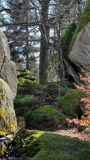 Am Fuße des Prinzenfelsens gibt es viel zu entdecken