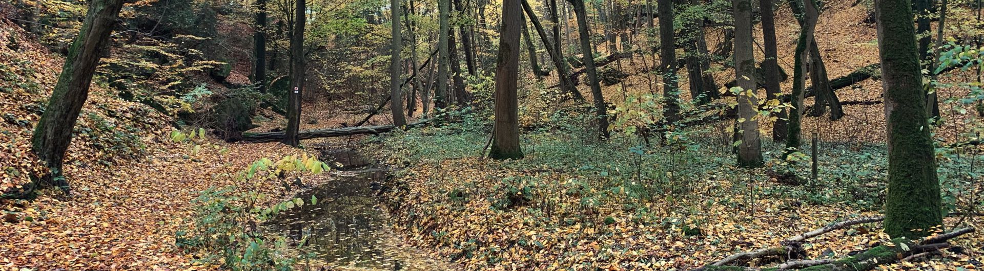 Salamandertal Eckersdorf