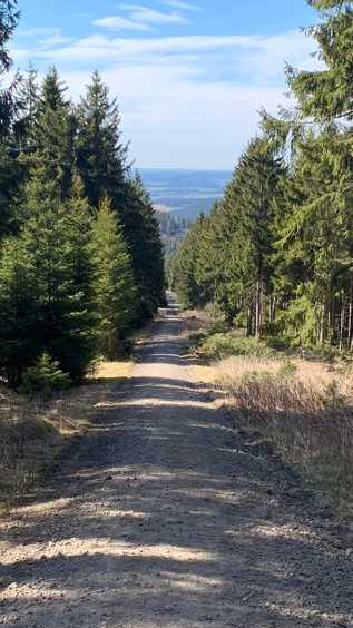 Der Fernsehturm am Ochsenkopf ist ca. 190 m hoch