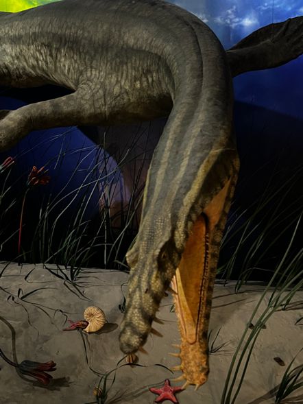 Urwelt-Museum Bayreuth Mosasaurus