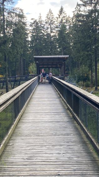 Holzpfad über durch dem Park
